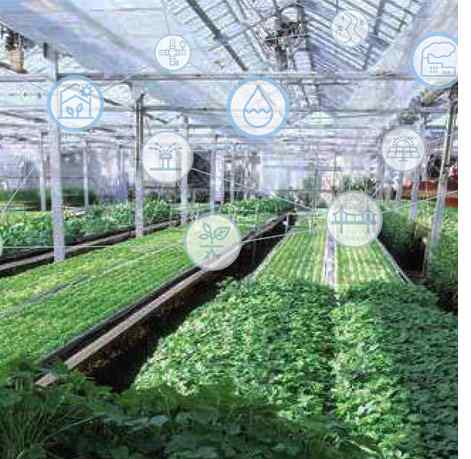 rchitecture of the LoRaWAN solution in smart agriculture 