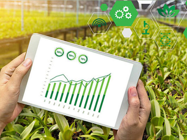 Anewtech-Systems-environmental-monitoring-smart-agriculture