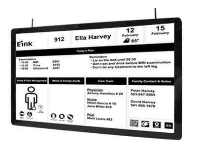 Anewtech-Systems-Industrial-display Avalue Monochrome ePaper Display A-EPD-42T